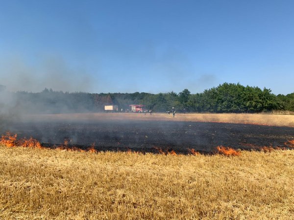 Flächenbrand