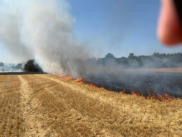 Flächenbrand