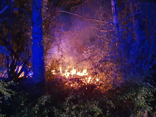 Flächen-/Wiesenbrand