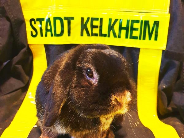 Frohe Ostern