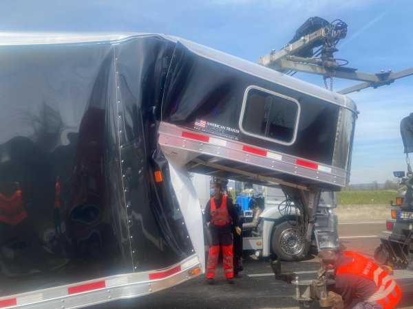 Tierrettung – verunfallter Pferdetransporter