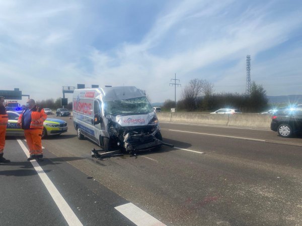 Tierrettung – verunfallter Pferdetransporter