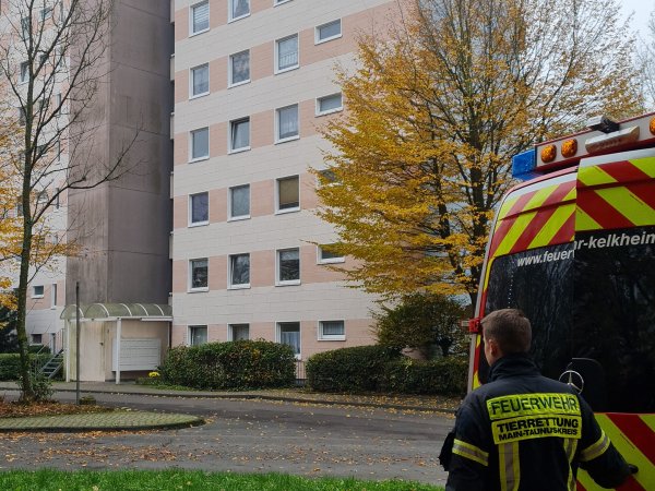 Tierrettung – Amtshilfe für Veterinäramt