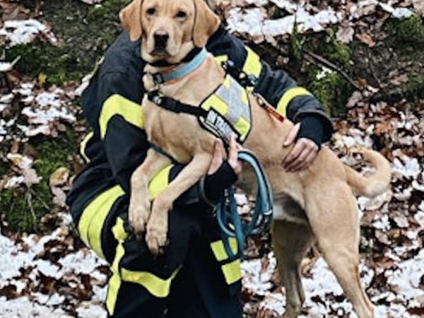 👨‍🚒🐕‍🦺 Rettungshunde 🐕‍🦺👨‍🚒