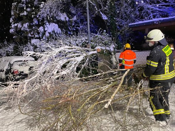 Sturmschäden nach Schneefall