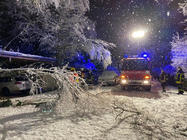 Sturmschäden nach Schneefall