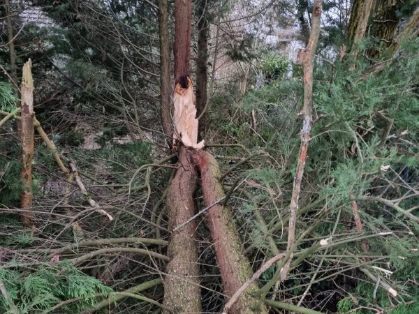 Einsatzübersicht Februar 2022
