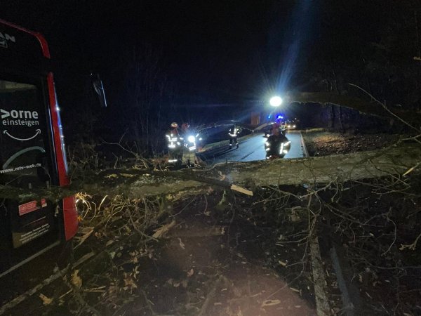 Sturmschaden – Umgestürzter Baum