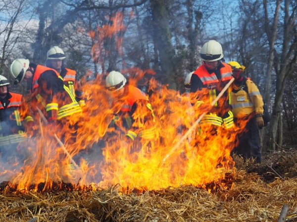 🌲🔥 Waldbrandbekämpfung🔥🌲
