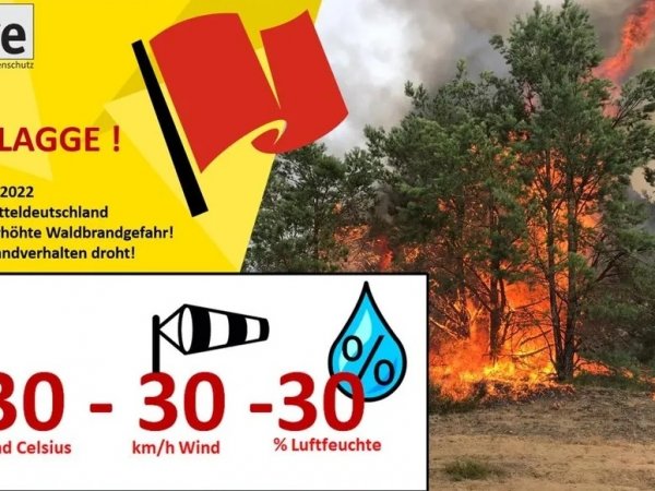 🌳🔥Waldbrandgefahr 🔥🌳