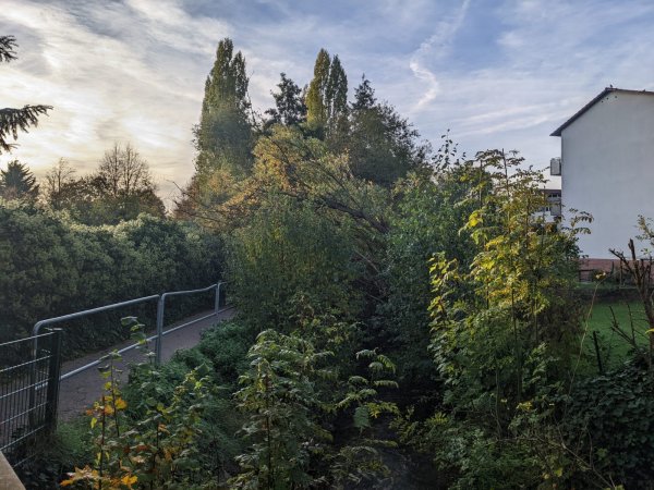 Hilfeleistung – Baum auf Fußweg