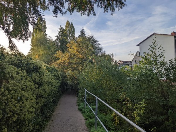 Hilfeleistung – Baum auf Fußweg