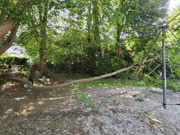 Baum auf Klettergerüst