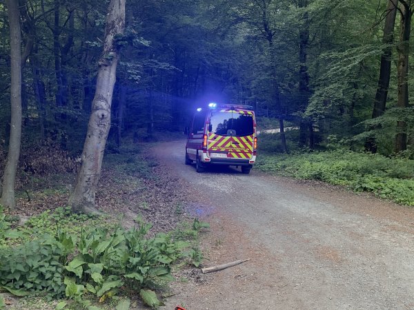 🌳🔥Waldbrandsaison im vollen Gange 🌳🔥