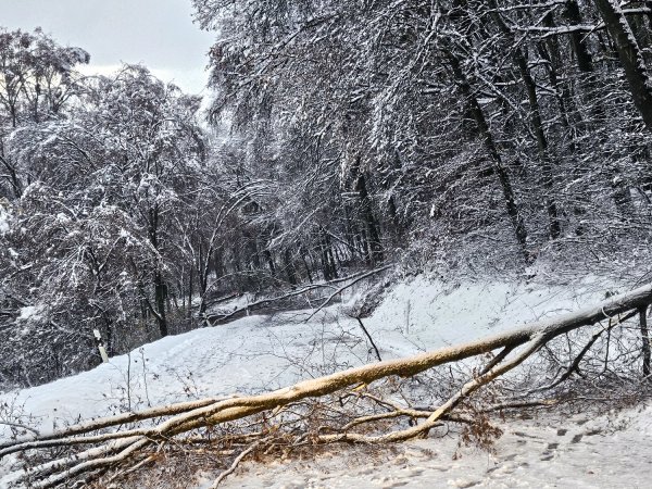 🚨Bericht zur aktuellen (Schnee) Lage🚨