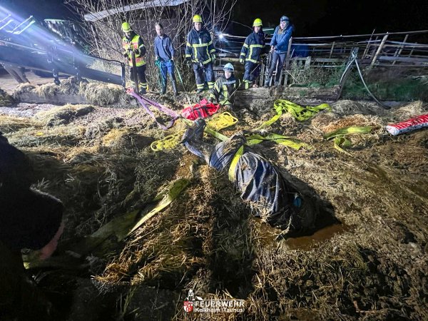 Tierrettung – Pferd in Güllegrube