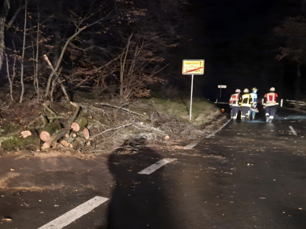 Baum auf Straße