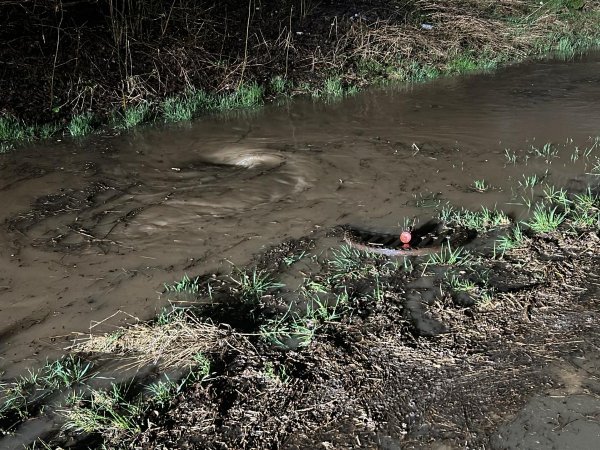 Wasserschaden/Hochwasser