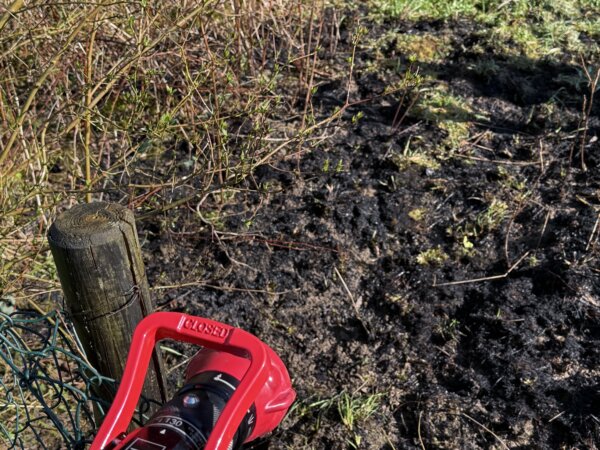 Kleiner Flächenbrand