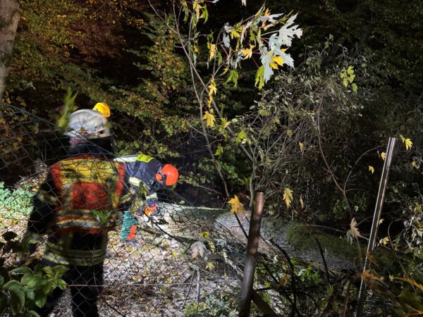 Kleine Hilfeleistung